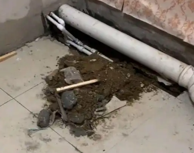 顺德卫生间漏水检测哪家好