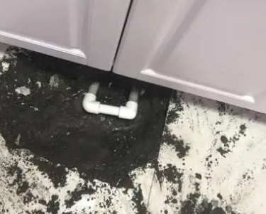 顺德查漏水哪家好
